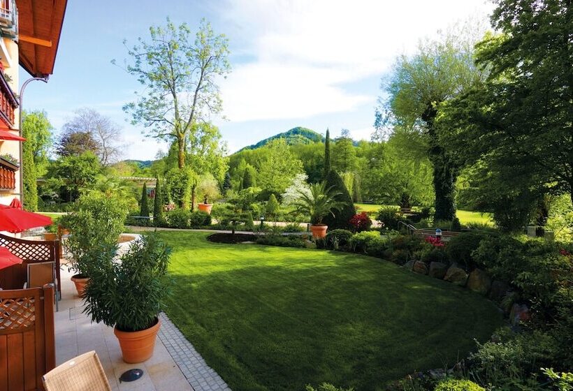 חדר קומפורט, Rebstock Durbach