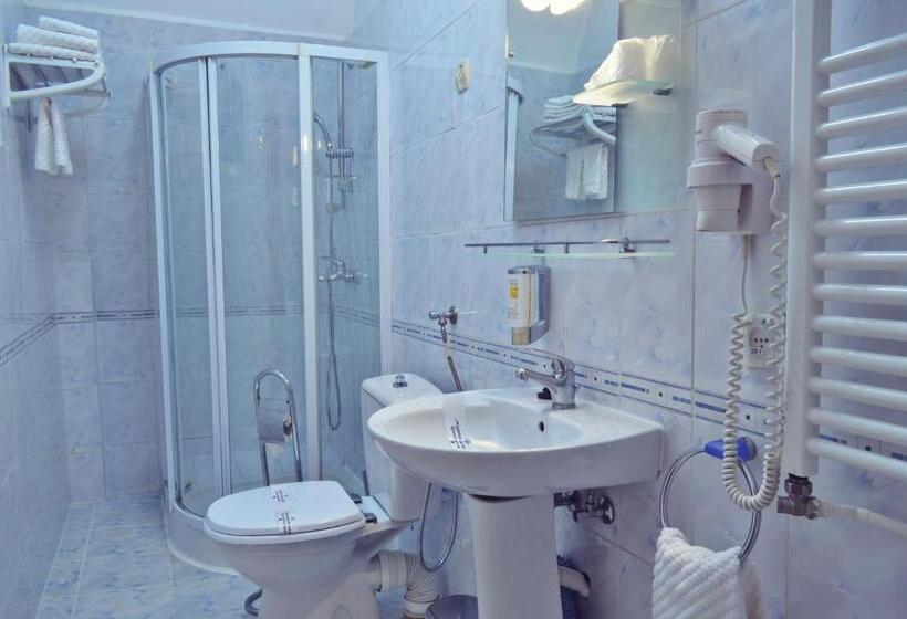 Standard Room, Vila Camelia