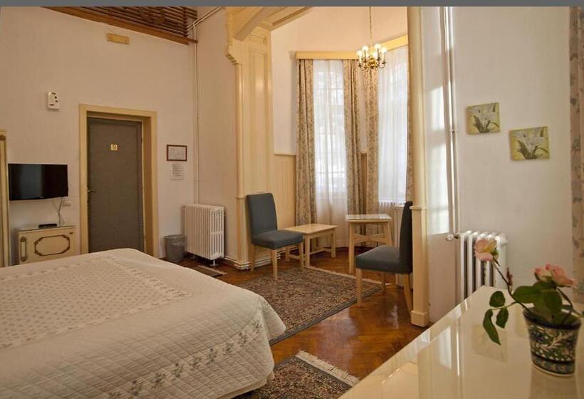 Standard Room, Vila Camelia