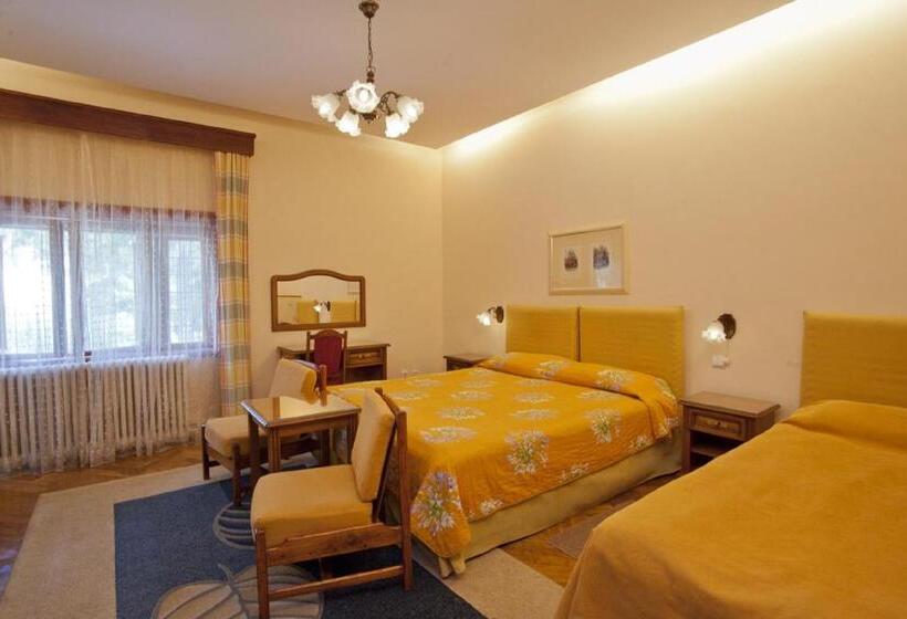 غرفة سوبيريور, Vila Camelia