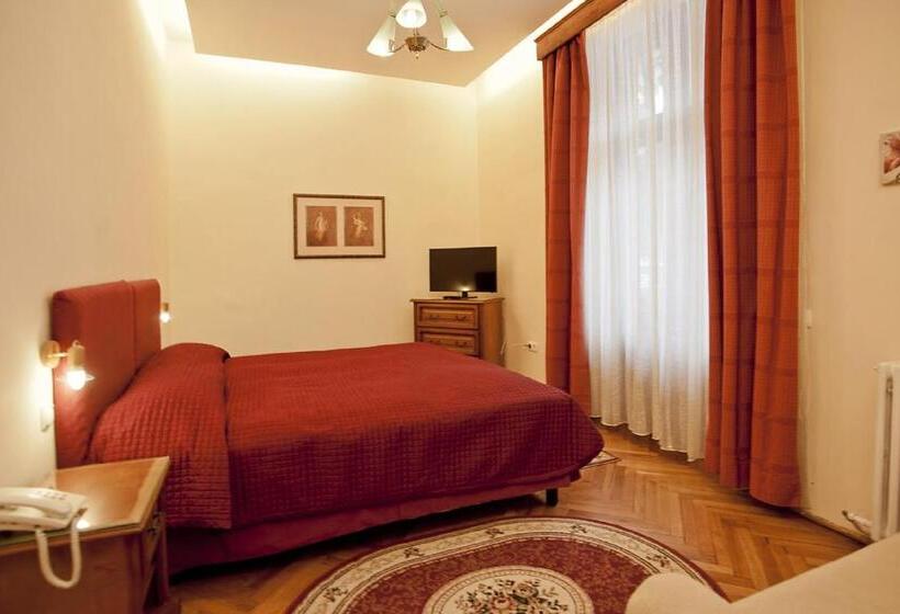 غرفة سوبيريور, Vila Camelia