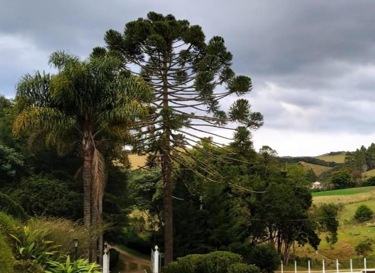 Suite, Pousada Pedacinho Do Ceu Suite Izah