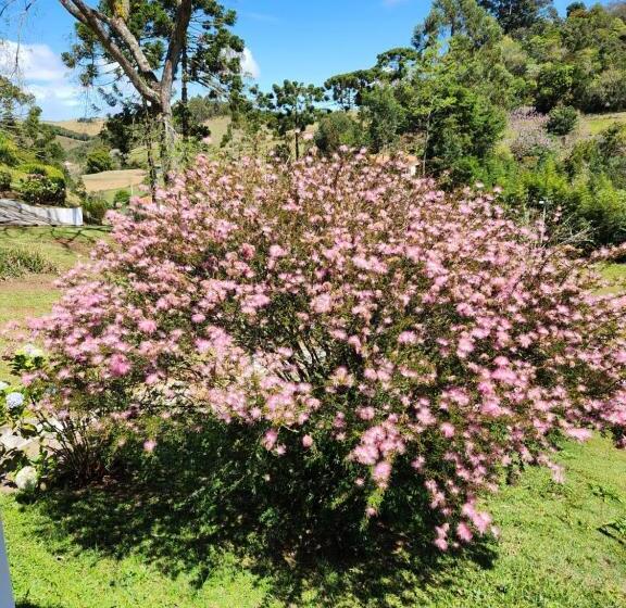 Suite, Pousada Pedacinho Do Ceu Suite Izah