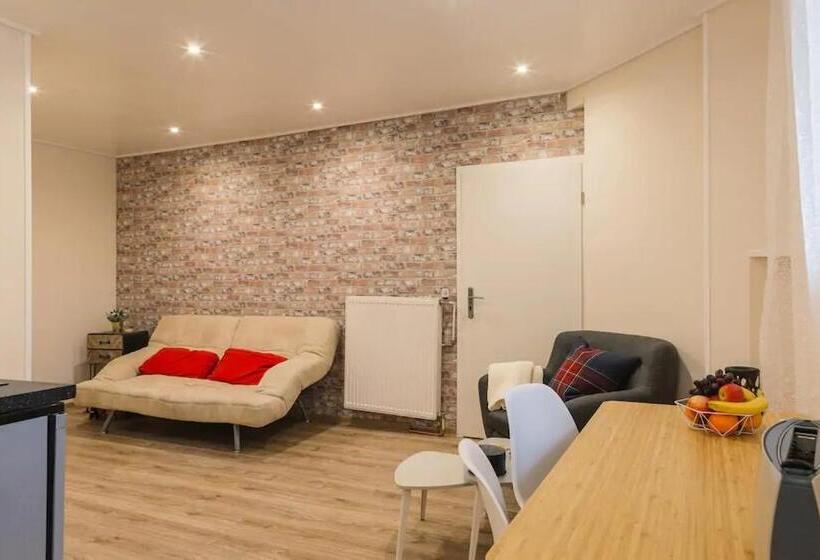 استودیو استاندارد با تخت کینگ, K&s Apartments