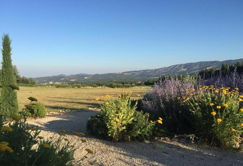 חדר סופריור עם מיטת קינג, Mas Des Olives