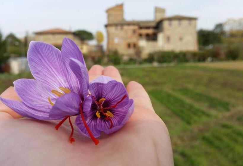Номер Стандарт Трехместный, Agriturismo Abbazia Sette Frati A Casa Di Sara