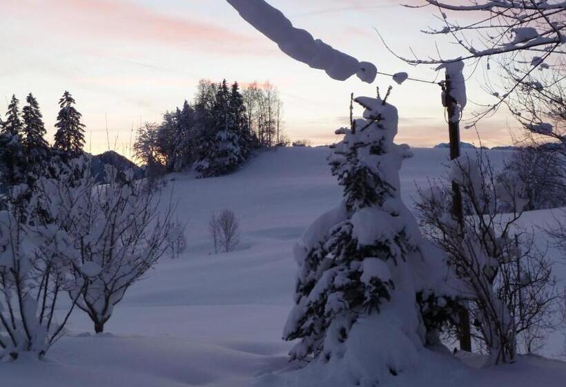 Апартаменты 1 Спальня с Видом, Haus Alpenhof