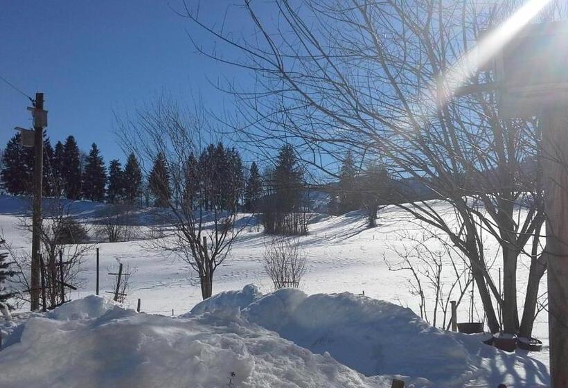 Апартаменты 1 Спальня с Видом, Haus Alpenhof