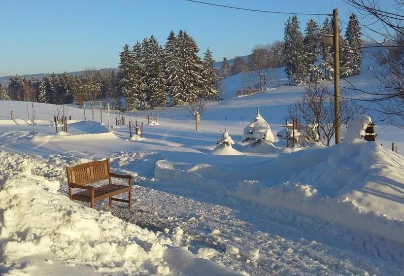 Апартаменты 1 Спальня с Видом, Haus Alpenhof