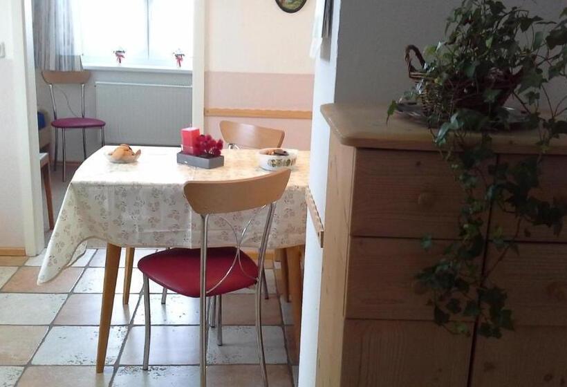 Апартаменты 1 Спальня с Видом, Haus Alpenhof