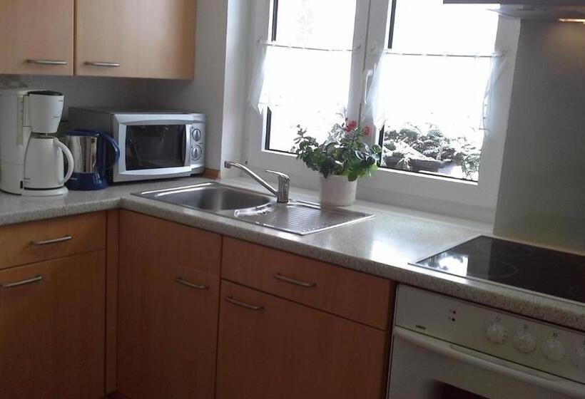 Апартаменты 1 Спальня с Видом, Haus Alpenhof