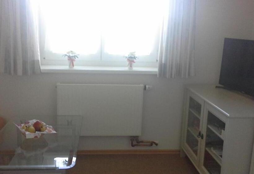 Апартаменты 1 Спальня с Видом, Haus Alpenhof