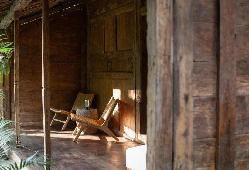 스탠다드 스튜디오, The Asa Maia Adults Only Resort