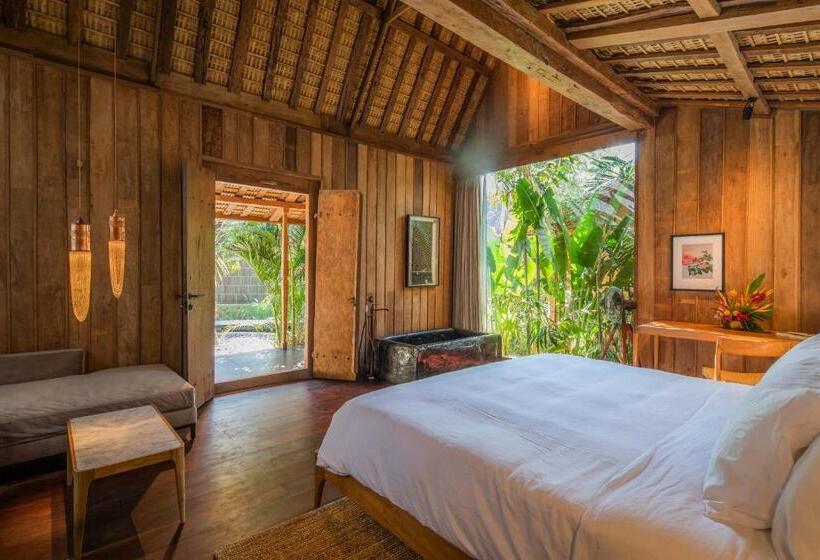 Люкс, The Asa Maia   Adults Only Resort