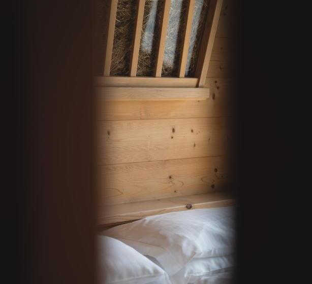 Номер Deluxe с Балконом, Alpen Hotel Chalet