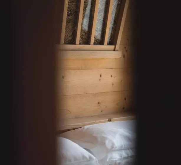 バルコニー付きデラックスルーム, Alpen Hotel Chalet