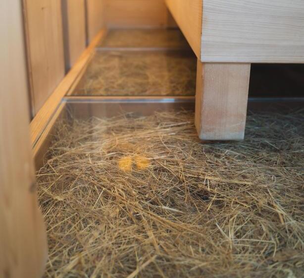 اتاق لوکس با بالکن, Alpen Hotel Chalet