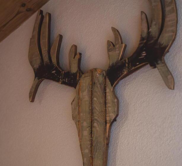 آپارتمان لوکس 1 خوابه, Alpen Hotel Chalet