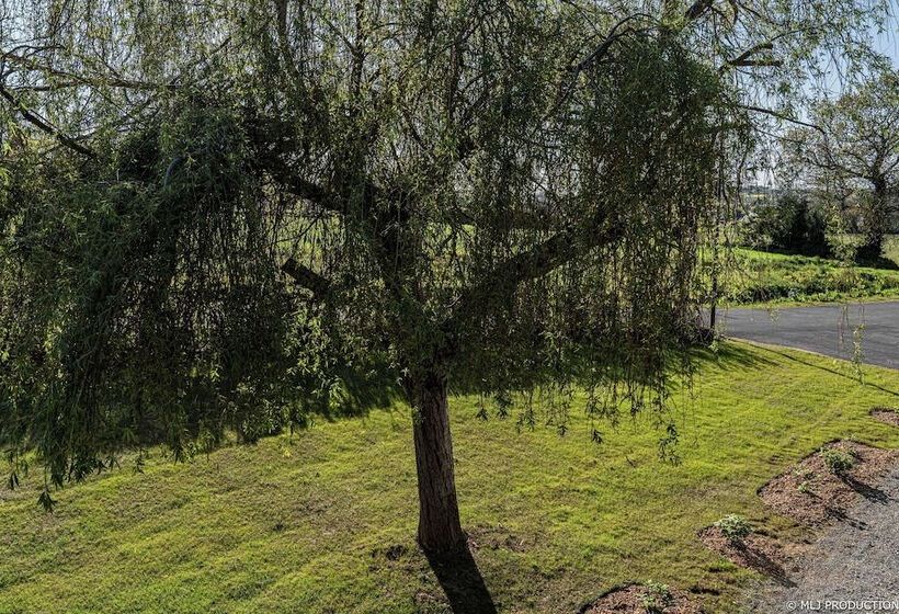 غرفة قياسية, Les Hauts De Kerano