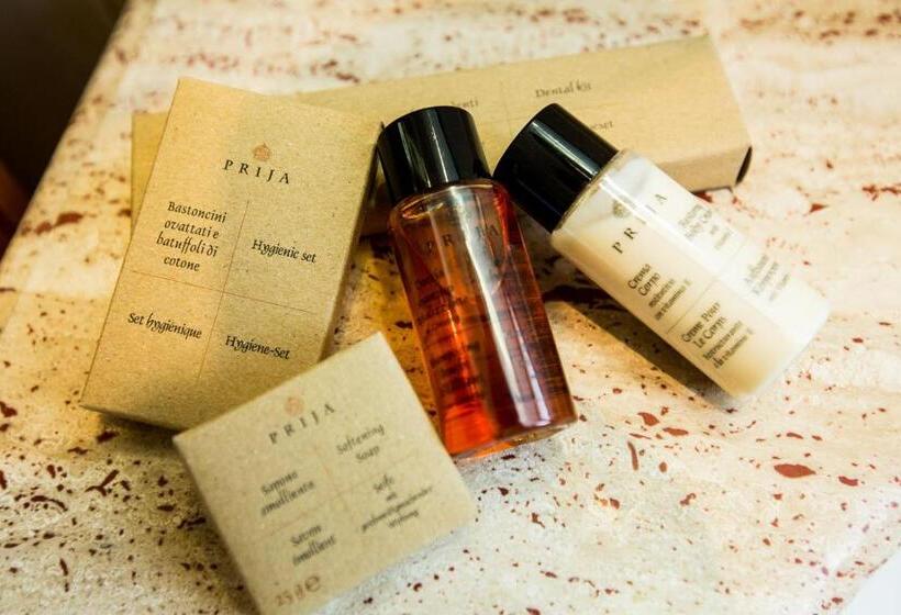 غرفة قياسية, Grand Hotel Elite