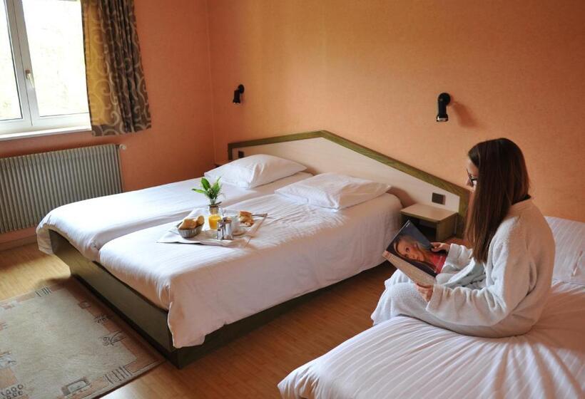 غرفة قياسية, Hôtel Restaurant A L Aigle