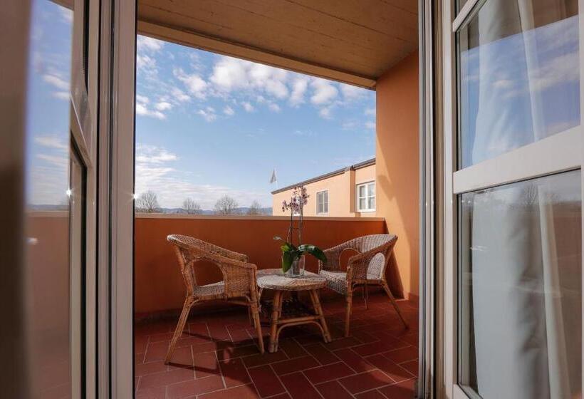 חדר סופריור עם מרפסת, Michelangelo