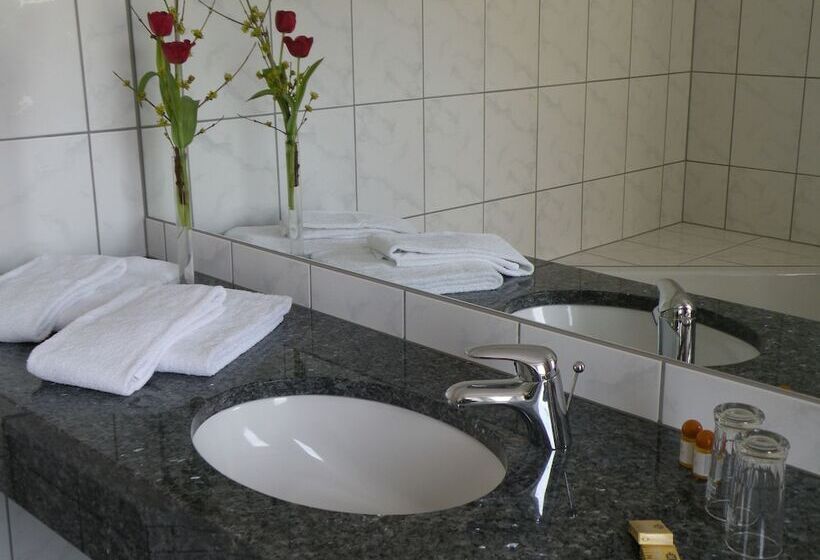 スタンダードシングルルーム, Landgasthof Wellmann