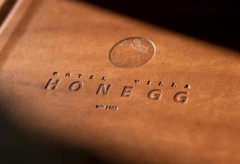 Номер Стандарт Вид на Озеро, Villa Honegg