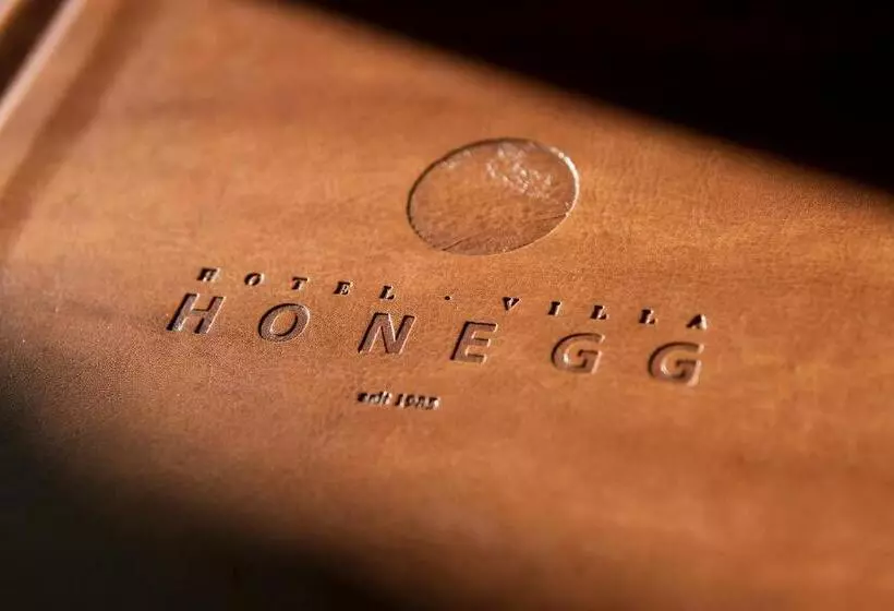 レイクビュースタンダードルーム, Villa Honegg