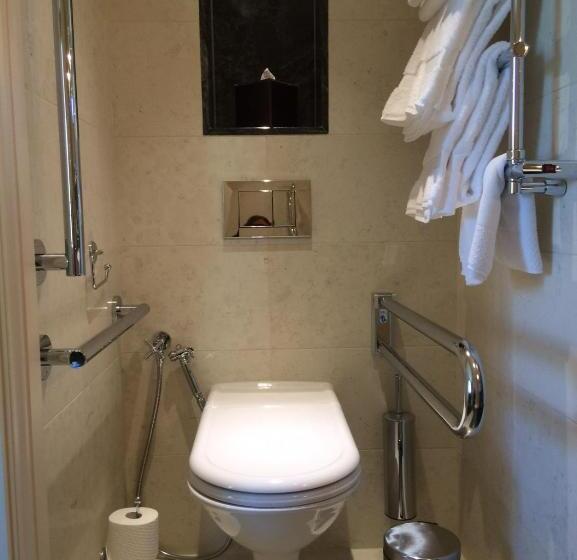 غرفة قياسية مطلّة علي البحيرة, Villa Honegg