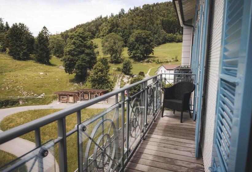 غرفة قياسية مطلة على الجبل, Villa Honegg