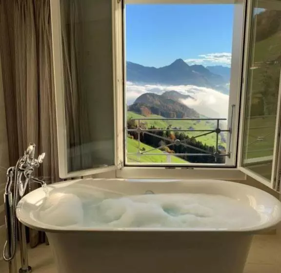 エクゼクティブスイート, Villa Honegg
