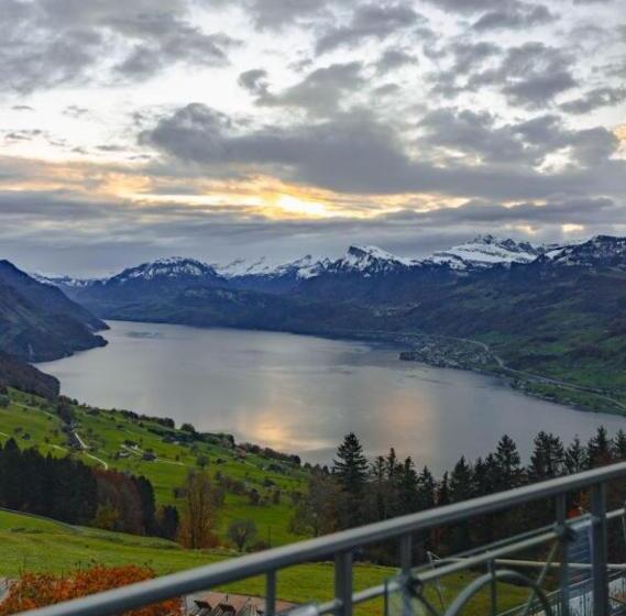 جناح إدارى, Villa Honegg