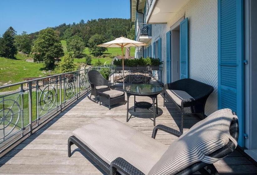 غرفة قياسية مزودة بتراس مطلة على الجبل, Villa Honegg