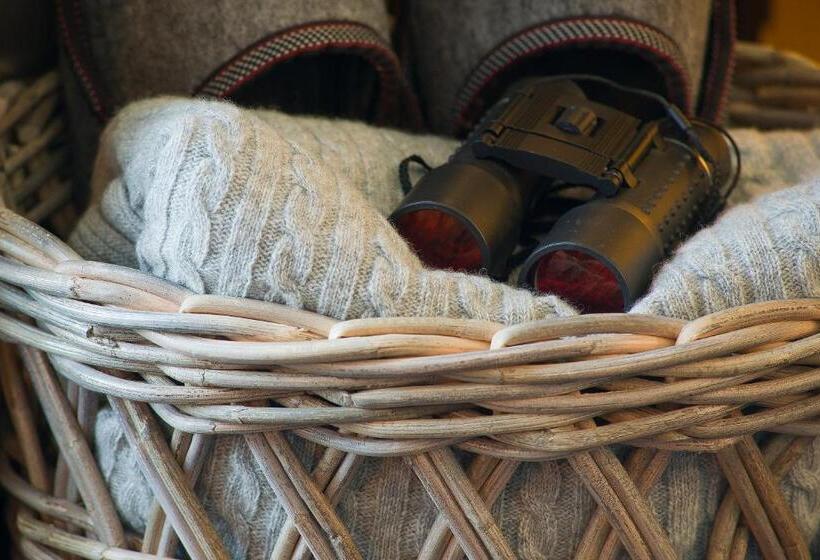 غرفة قياسية مزودة بتراس مطلة على الجبل, Villa Honegg