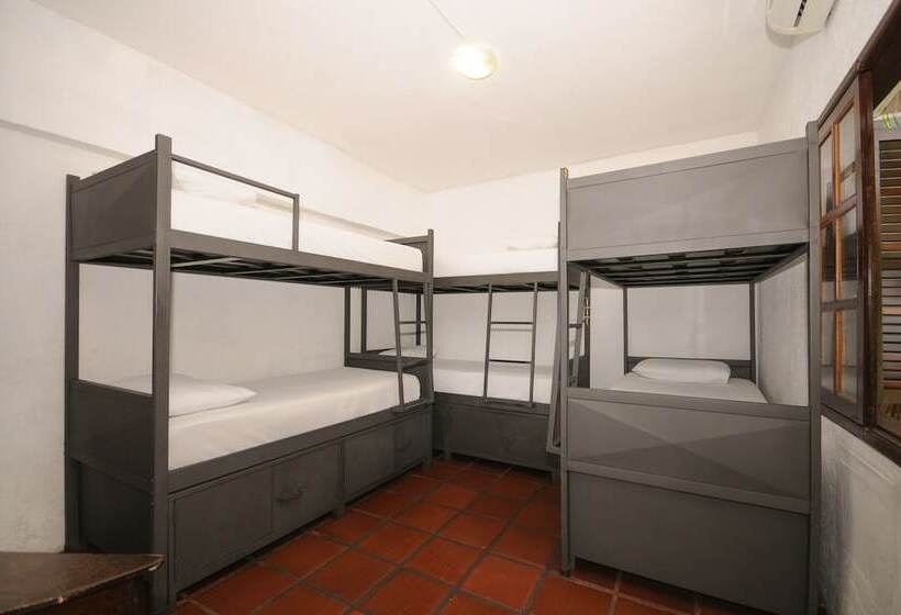 共用房间的床, Che Lagarto Hostel Buzios