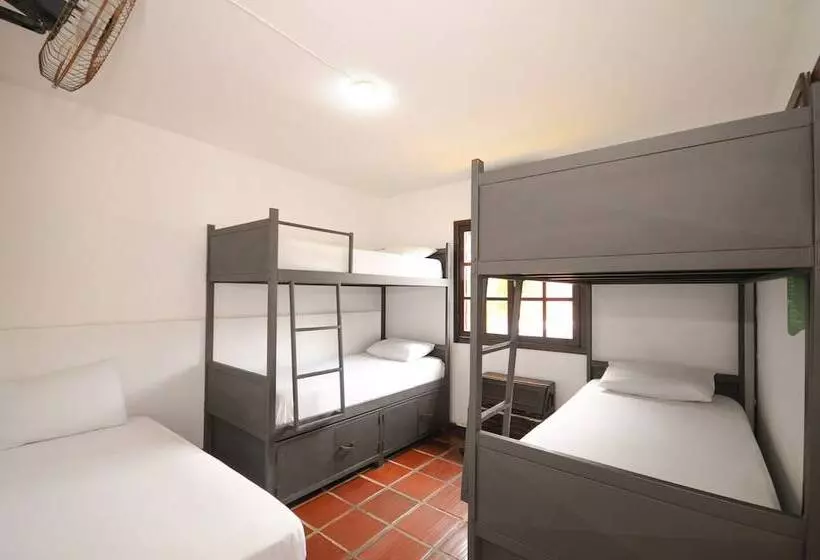 ルームシェアのワンベッド, Che Lagarto Hostel Buzios