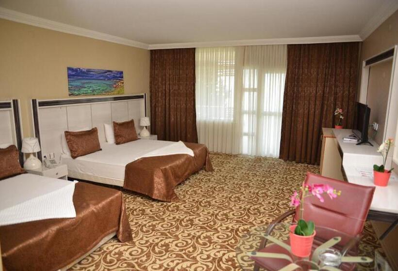 Номер Deluxe, Atamer Doga Resort