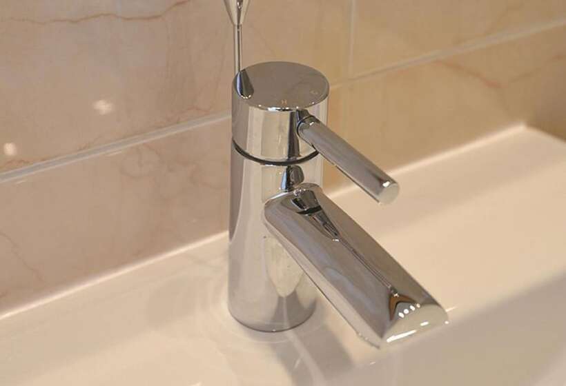 スタンダードルーム, Bailey Ground