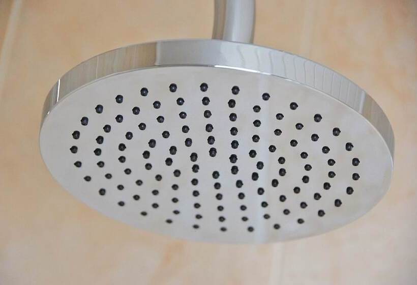 スタンダードルーム, Bailey Ground