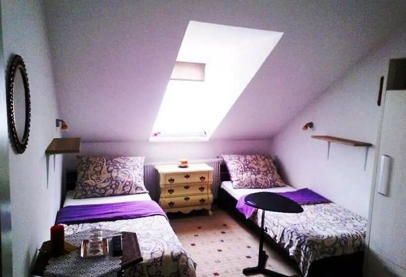 اتاق استاندارد, Buda Panzió