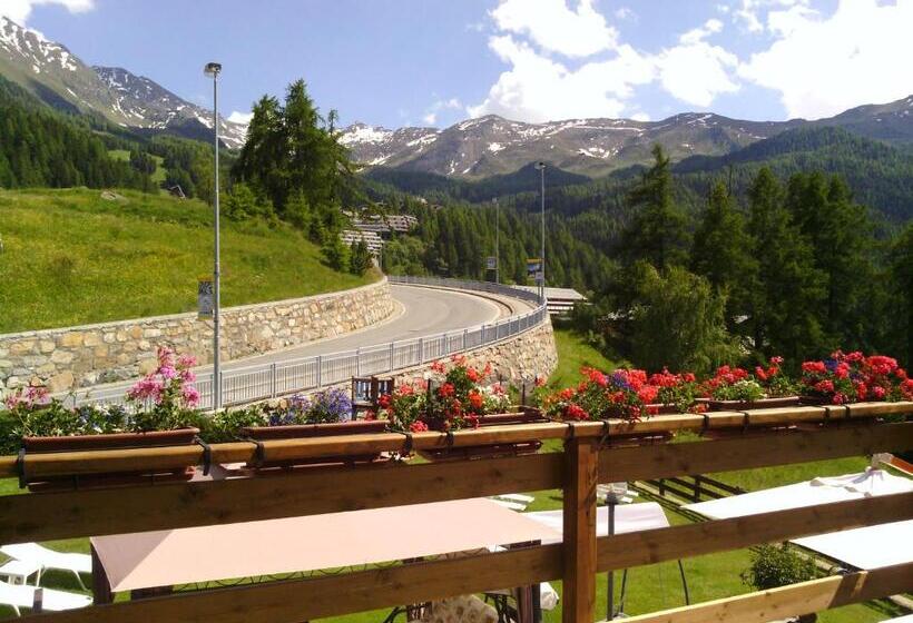 חדר סטנדרט לארבעה, Chacaril