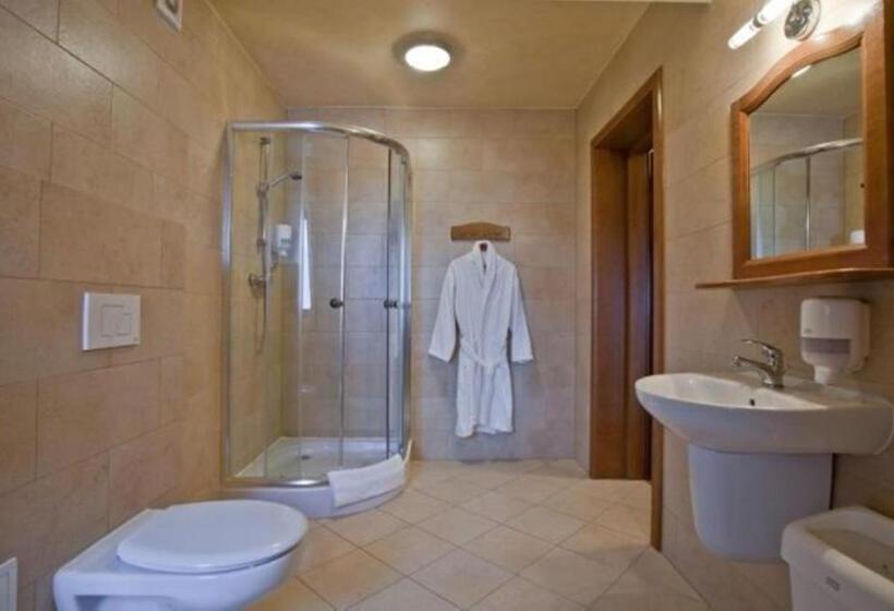 اتاق استاندارد, Dwor Karolowka