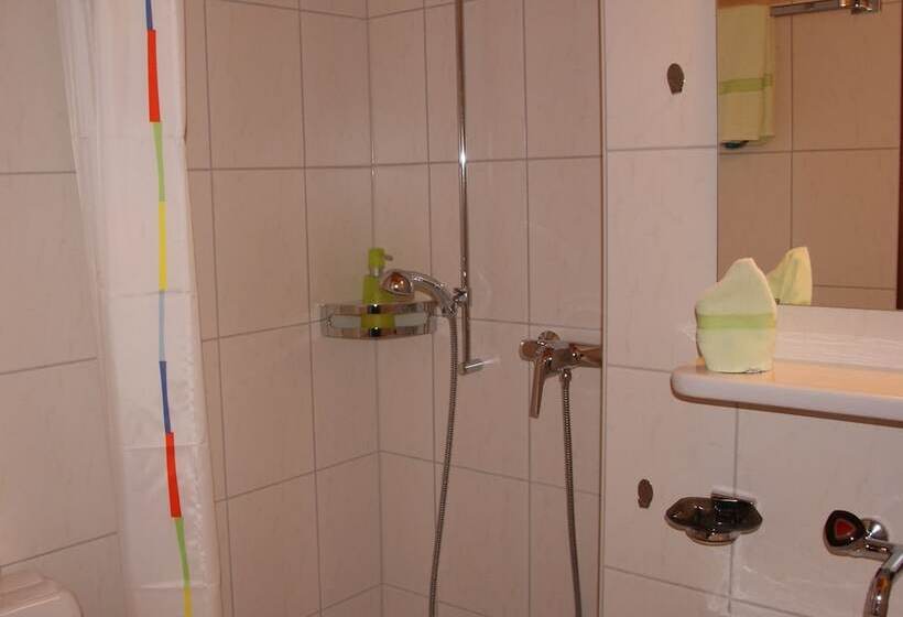 חדר סטנדרט יחיד, Fassbind Beausite