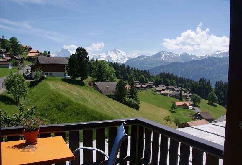 חדר סטנדרט יחיד, Fassbind Beausite