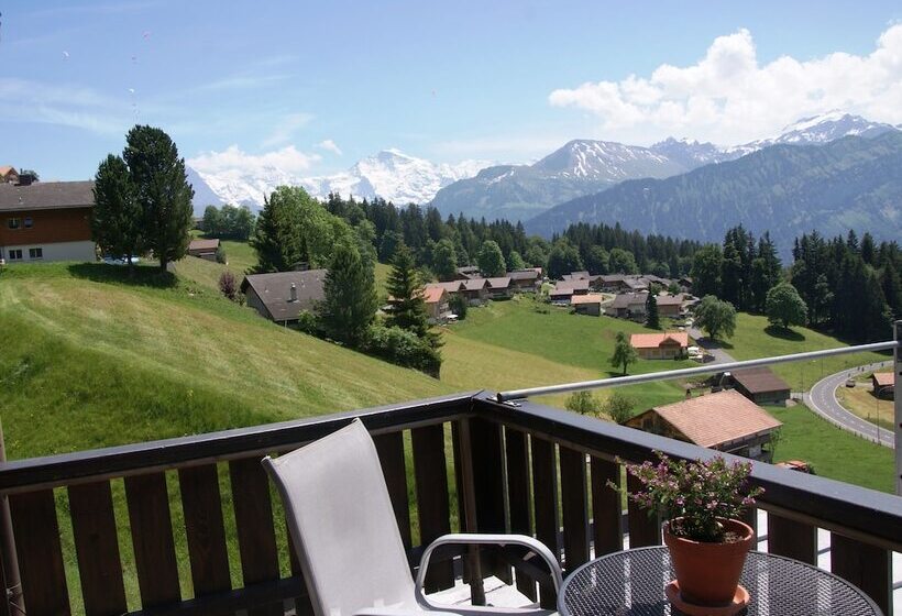 חדר סטנדרט נוף להרים, Fassbind Beausite