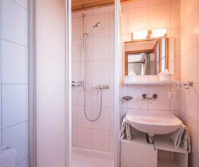 Habitació Estàndard Vista Muntanya, Fassbind Beausite