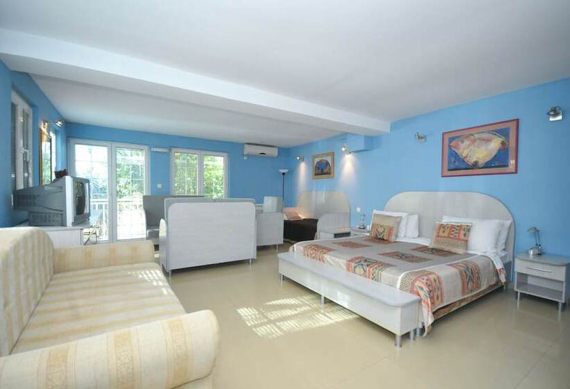 استودیو استاندارد با بالکن, Oaza