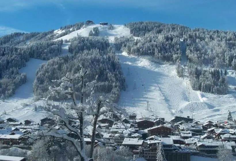 Standard Yhden Hengen Huone, & Spa Le Dahu