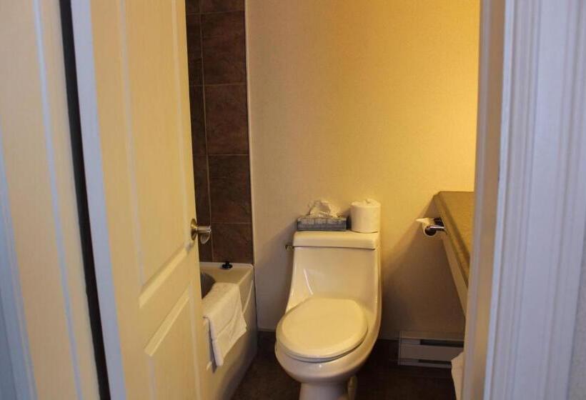 带2个双人床的标准工作室, Motel Capri Et Suites